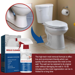 Mold Removing Spray For Bathroom Walls And Ceilings | AllGadget